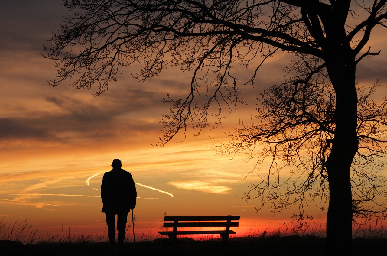 https://pixabay.com/de/photos/sonnenuntergang-baum-silhouette-3156176/