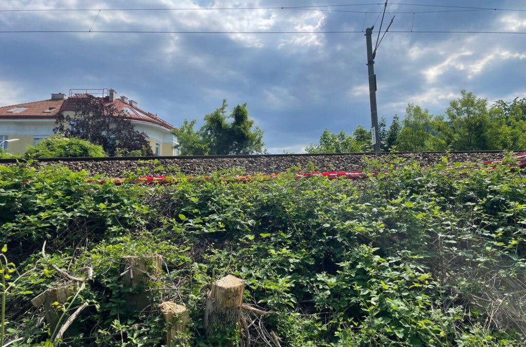 S-Bahn Strecke nach Rodungen